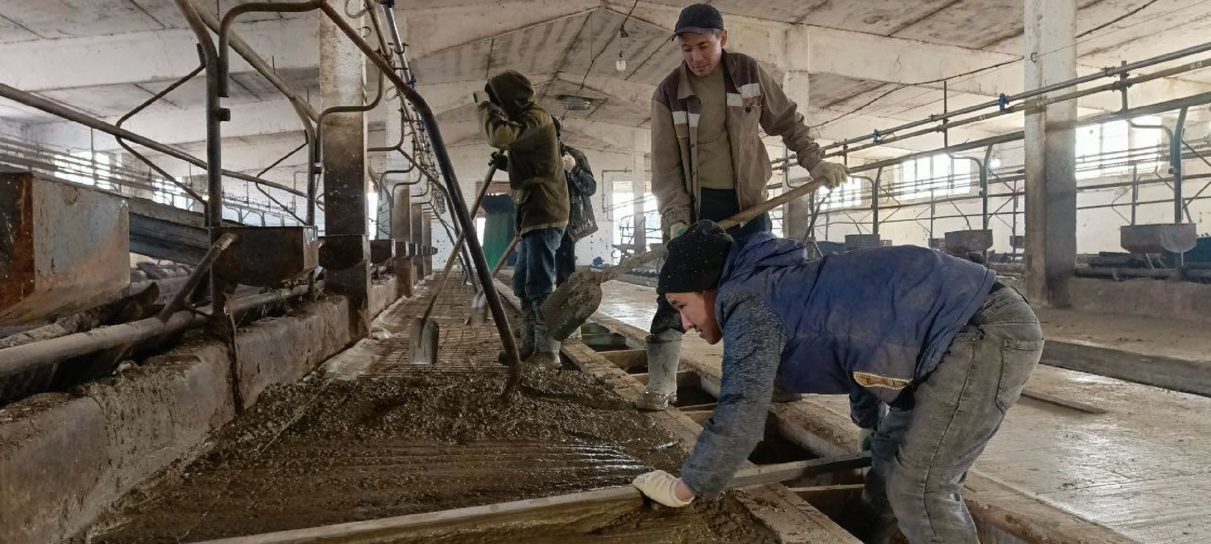 Дмитров, Мосагрофуд, Минсельхоз, Мининвест,