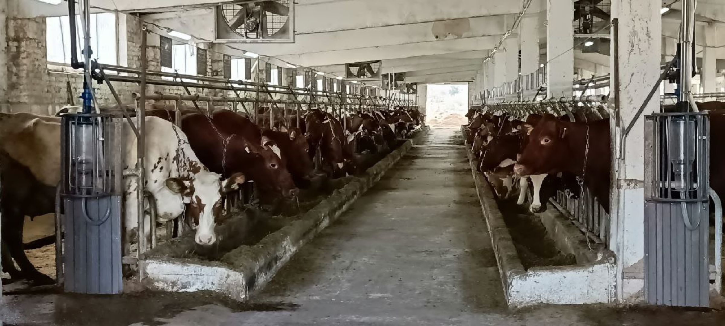 Дмитров, Мосагрофуд, Минсельхоз, Мининвест,