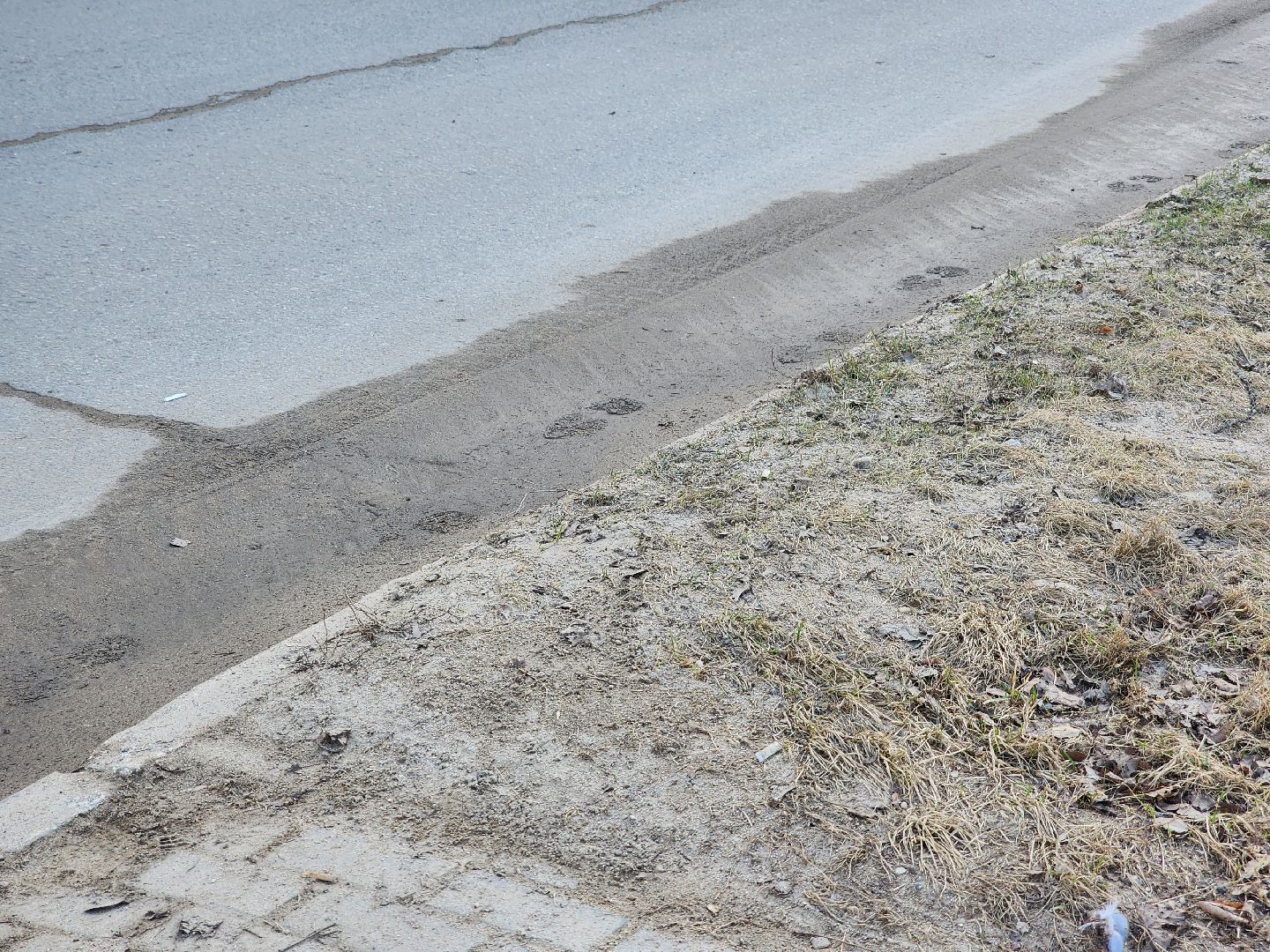 ЖКХ, Благоустройство, Месяц благоустройства, Дубна,