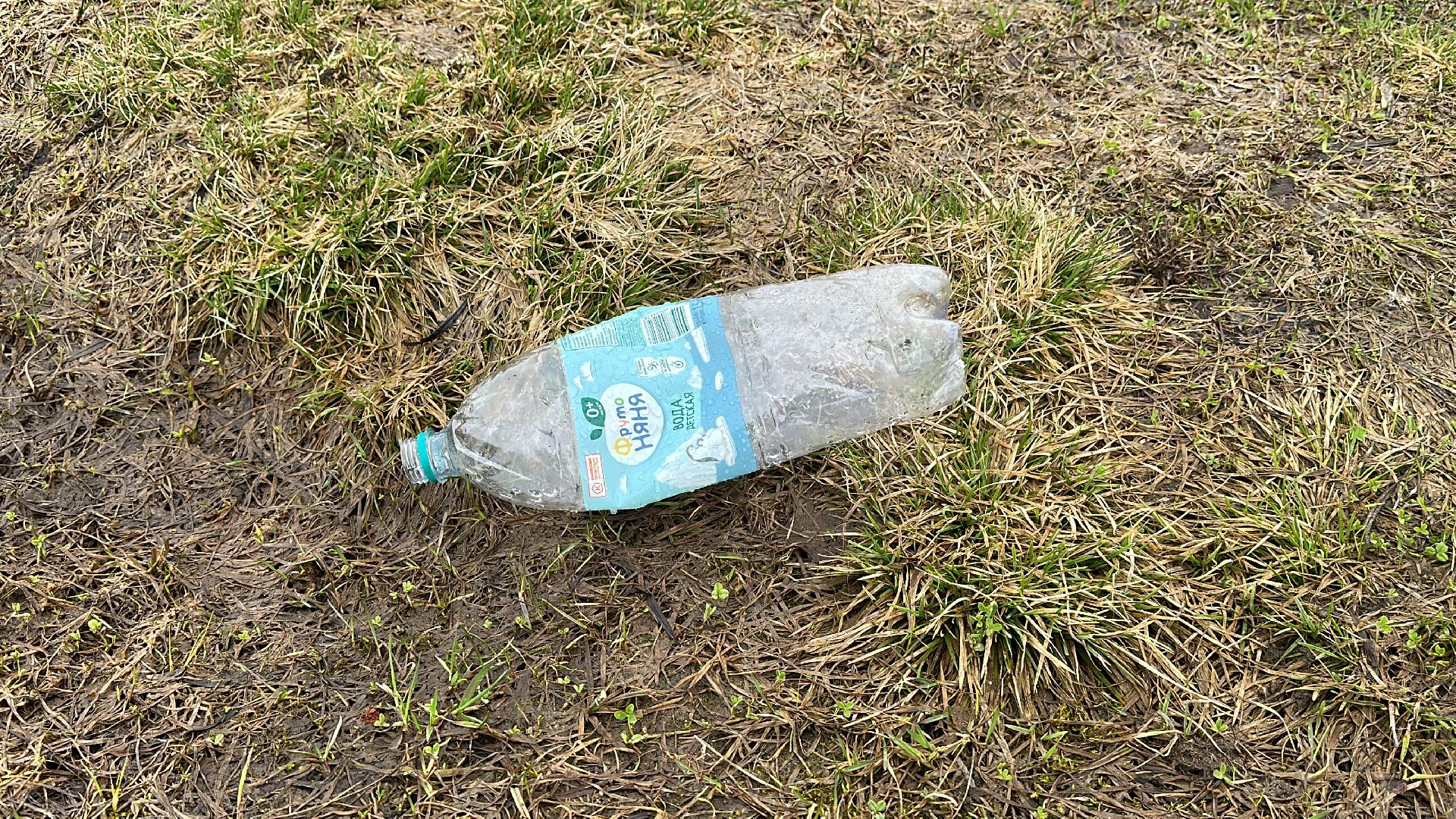 Клин, общество, субботники, благоустройство,