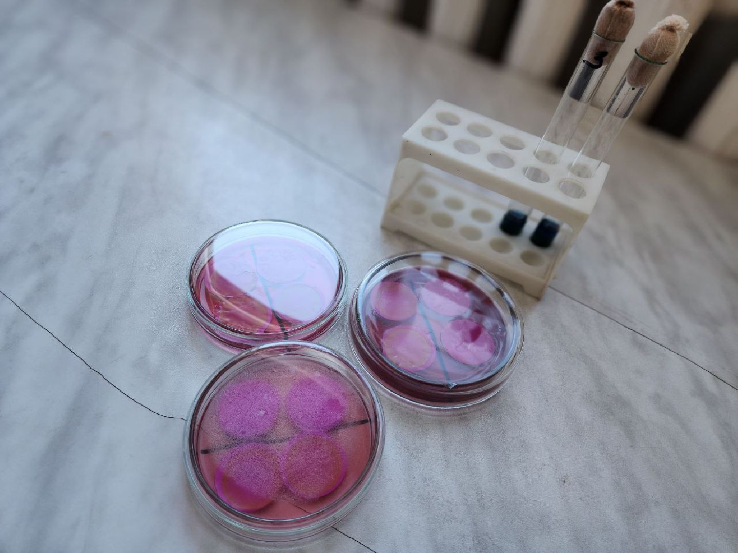 можайск, можайский городской округ, подмосковье, питьевая вода, контроль качества, жители, взу, жкх,