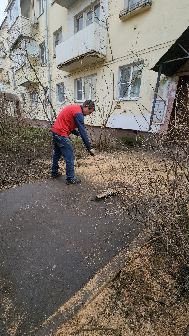 благоустройство, благоустройство 2024, аварийные деревья, тучково, руза, рузский городской округ, подмосковье, опиловка,