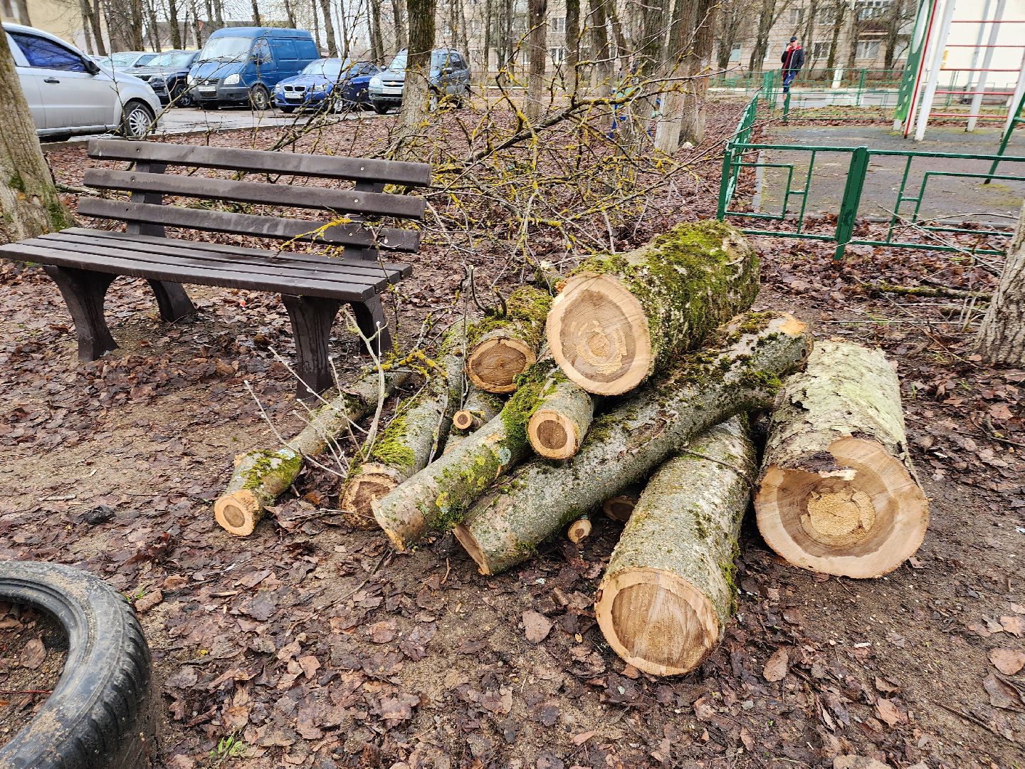 благоустройство, благоустройство 2024, аварийные деревья, тучково, руза, рузский городской округ, подмосковье, опиловка,