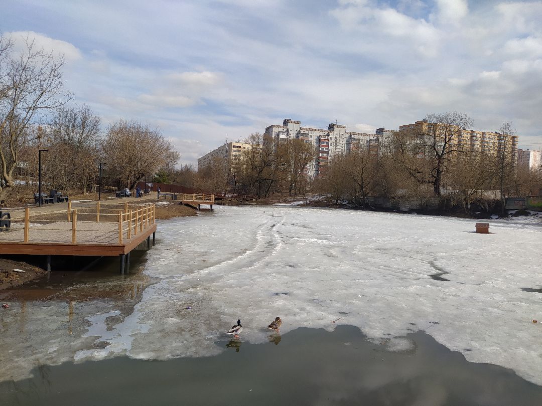 #Дедовск #Пруд #Благоустройство #Дедово #Курочкино