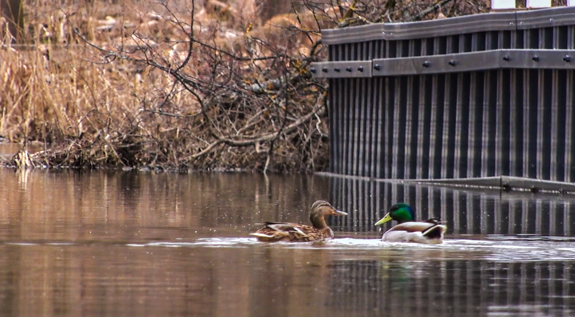Клин, общество, благоустройство, ЖКХ,