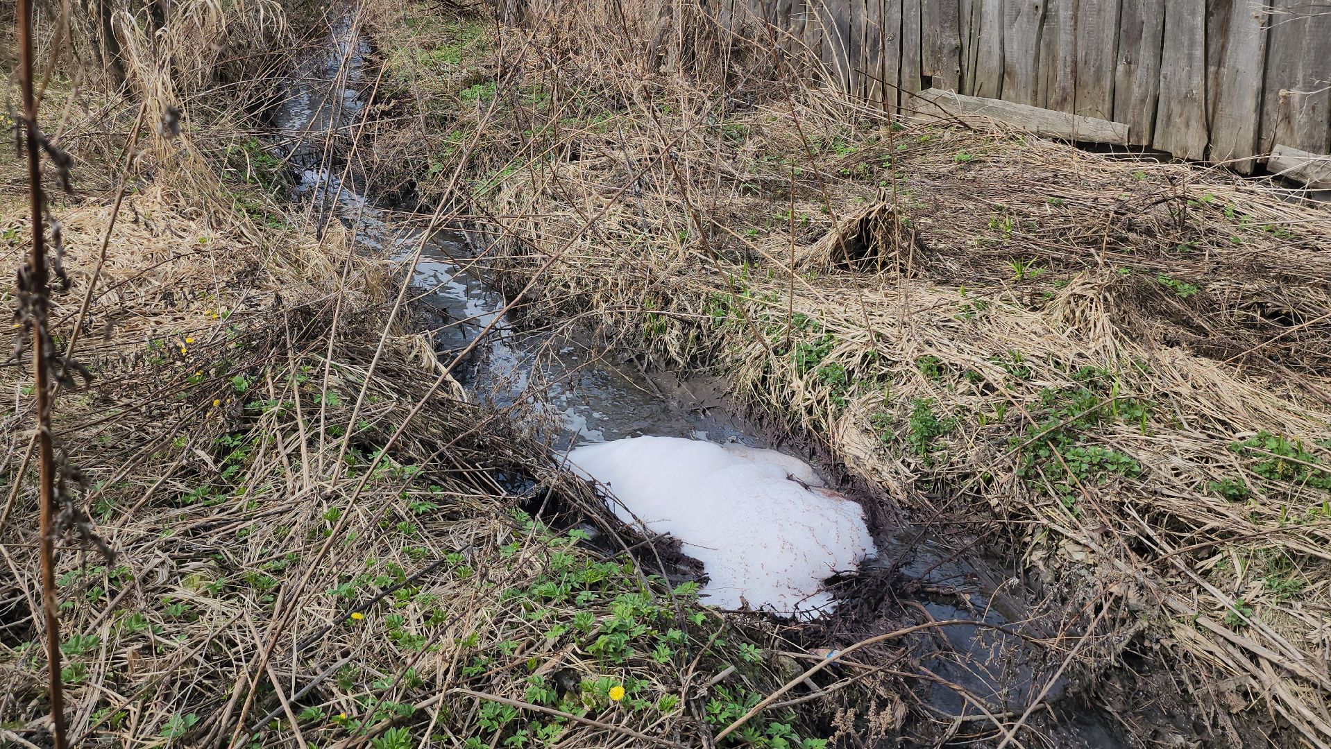 серпухов, ивановская деревня, река кюлька, ливневки, промышленные стоки, экология, депутат-эколог,