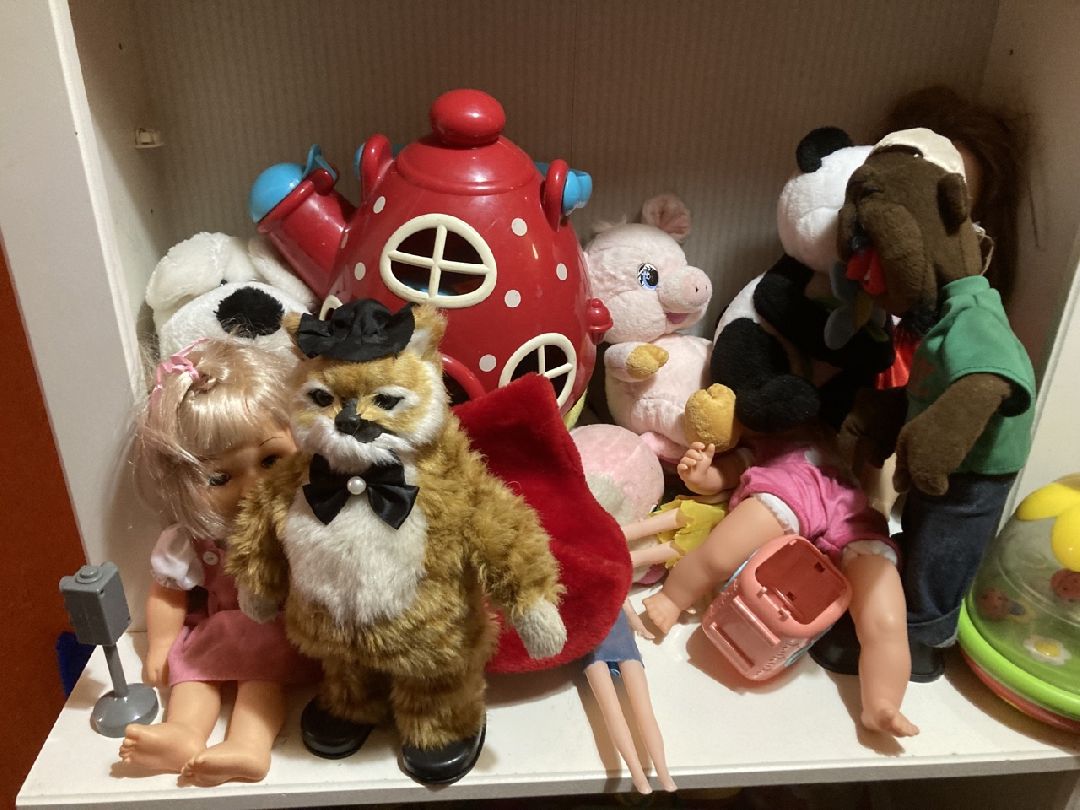 Солнечногорск, Общество, благотворительность