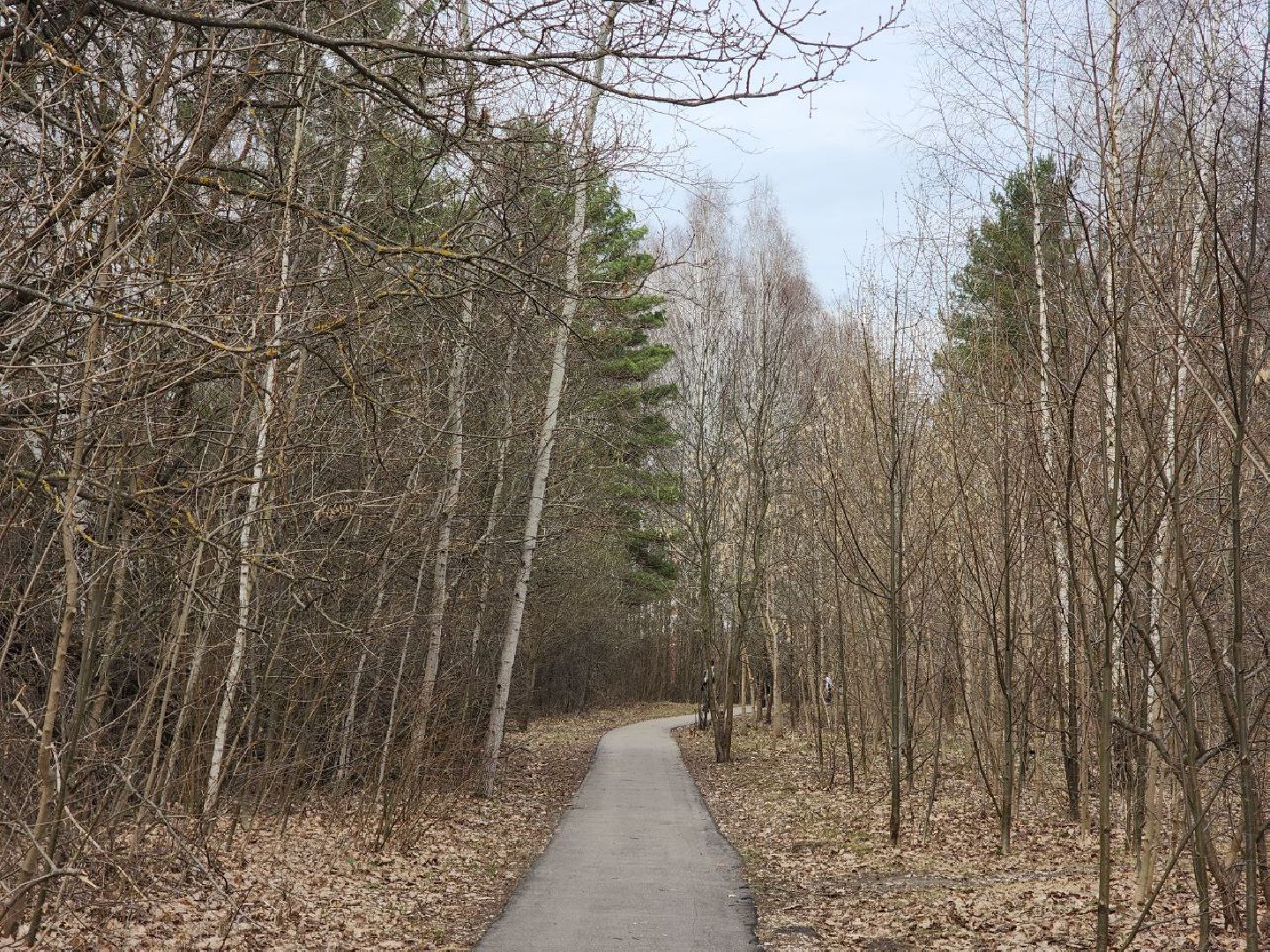 пущино, светлый город, благоустройство,