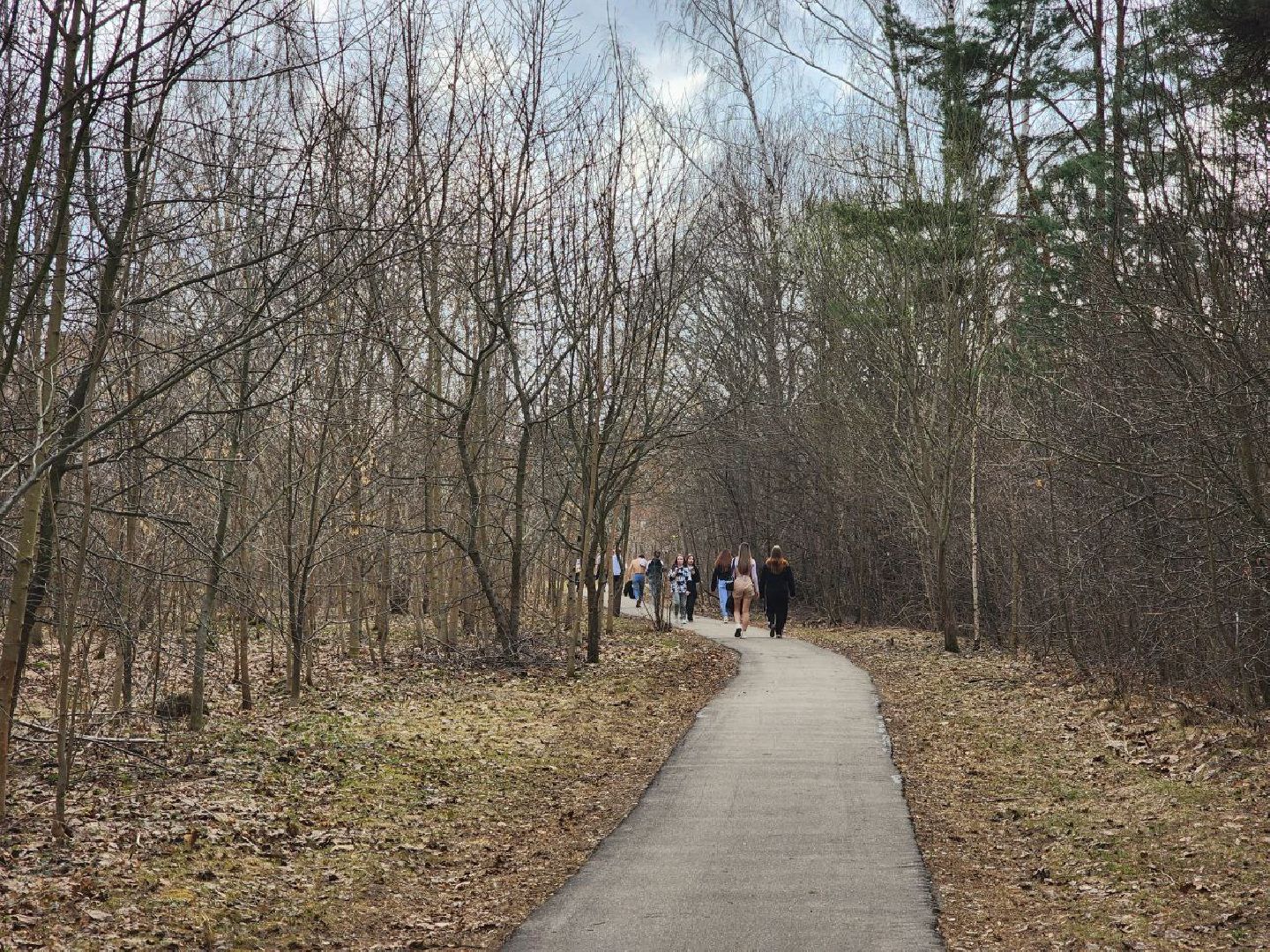 пущино, светлый город, благоустройство,