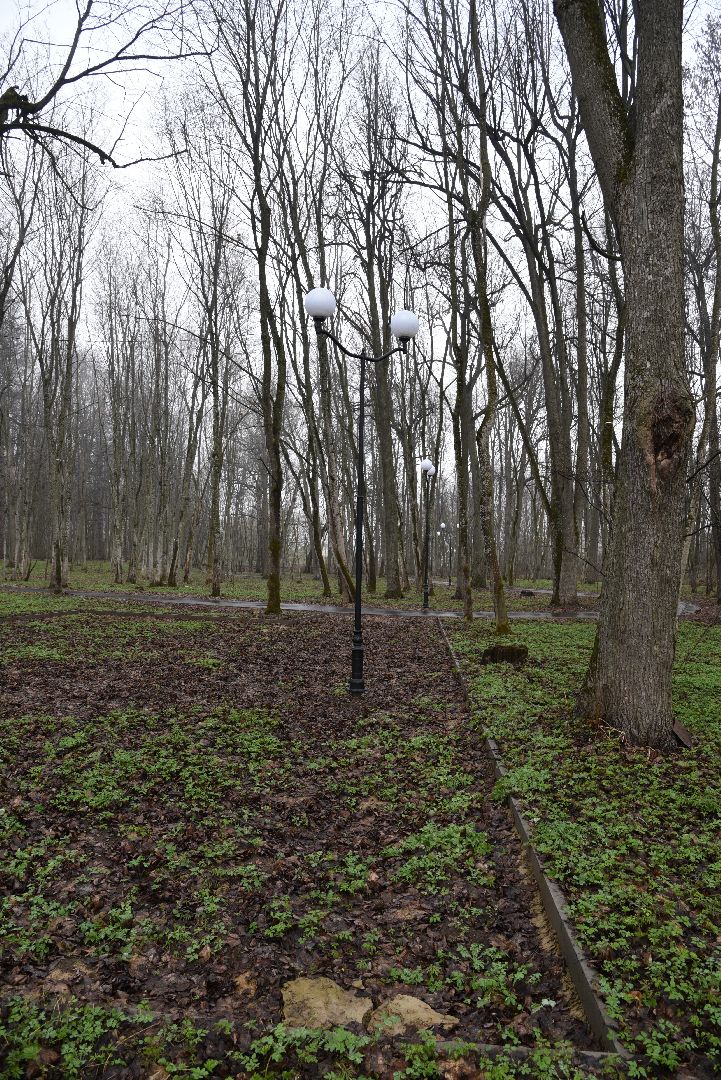 лотошино, лотошинский парк, благоустройство, парки подмосковья,