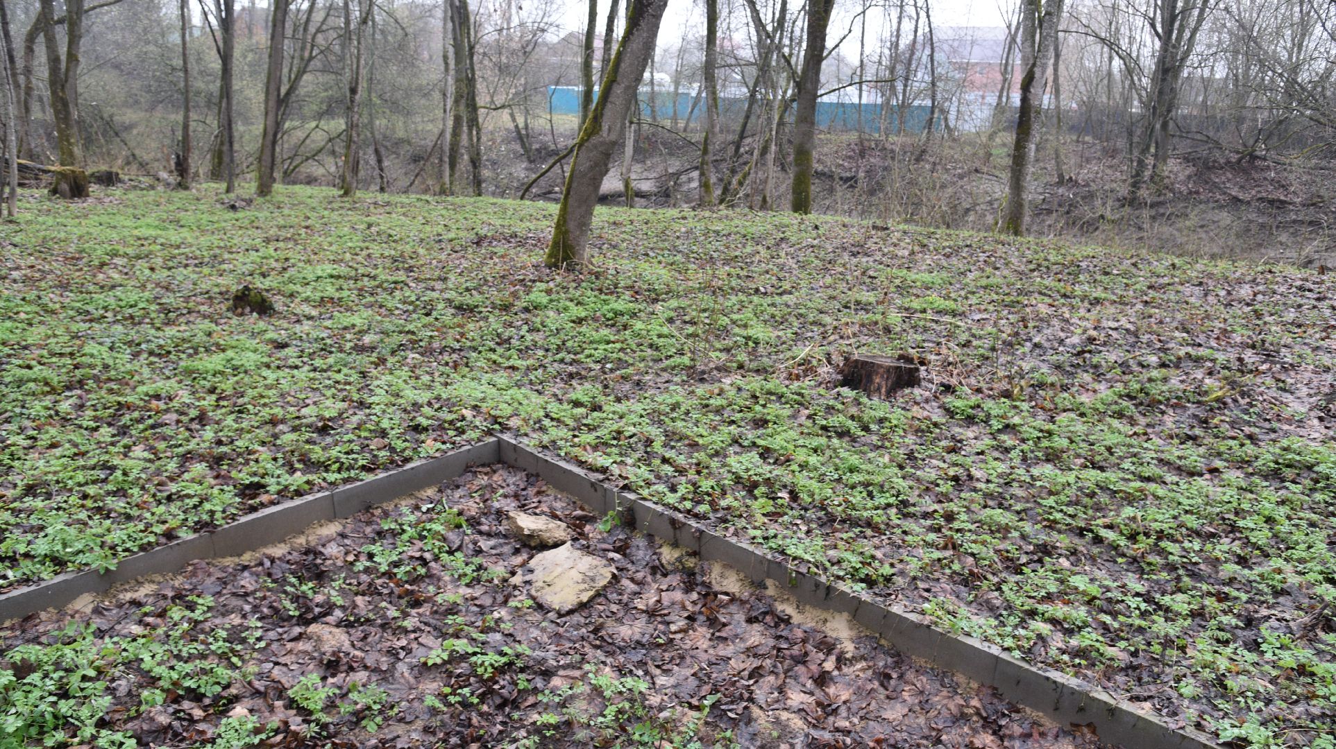 лотошино, лотошинский парк, благоустройство, парки подмосковья,