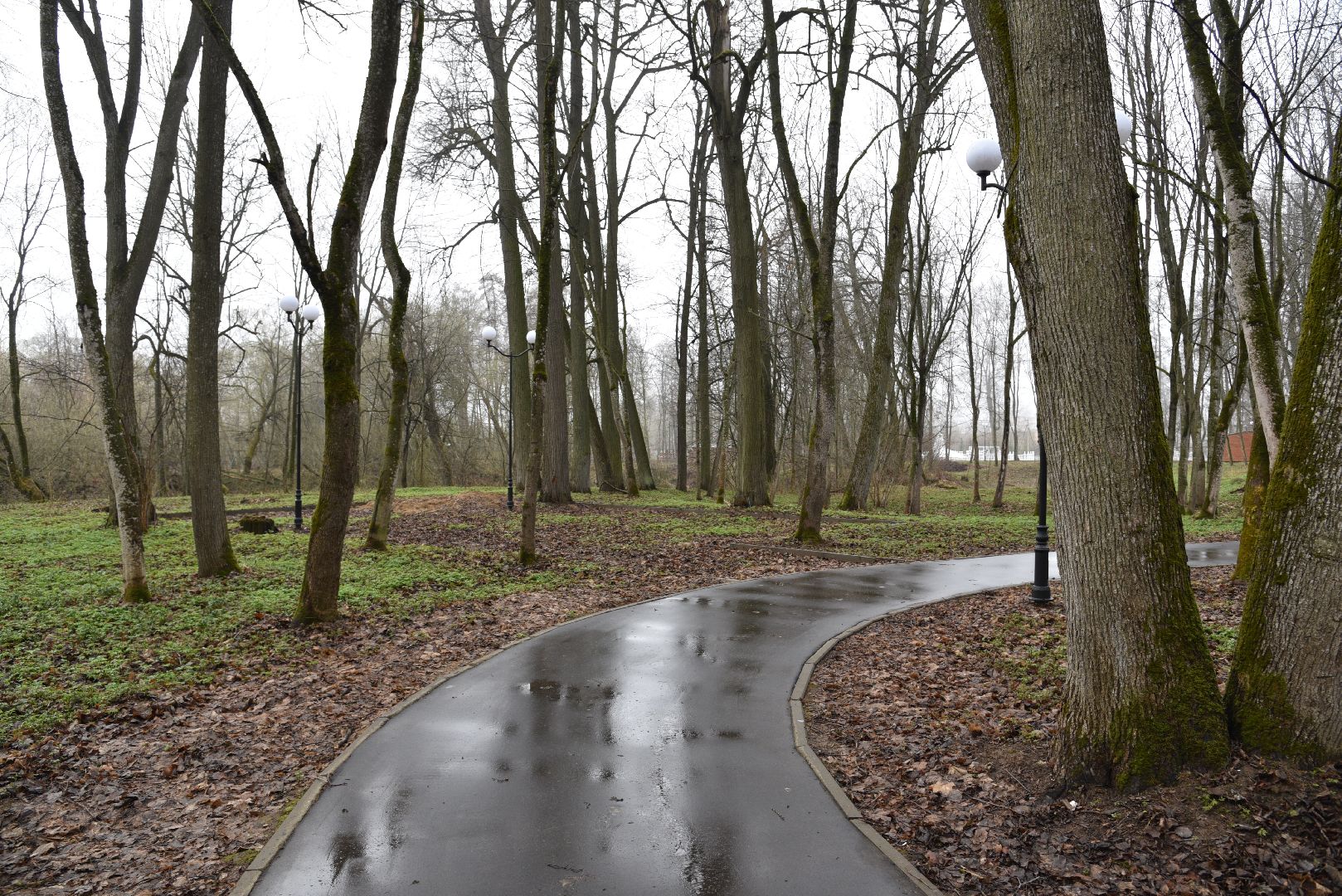 лотошино, лотошинский парк, благоустройство, парки подмосковья,