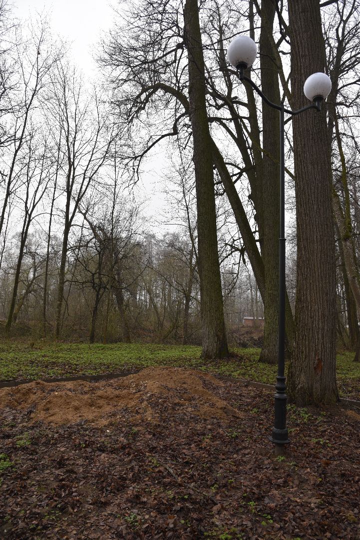 лотошино, лотошинский парк, благоустройство, парки подмосковья,