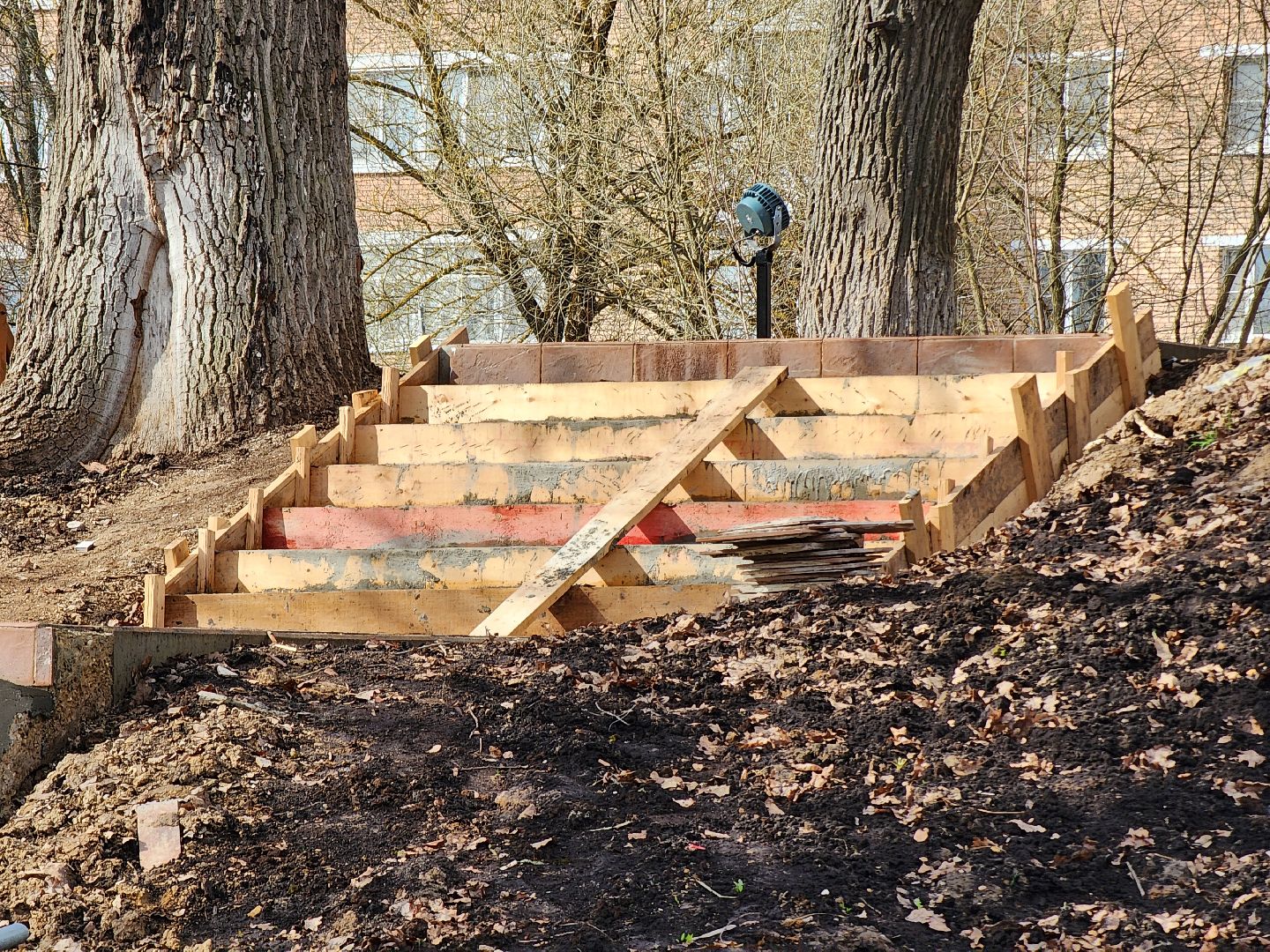 благоустройство, парк, Парк лукоморье, руза, рузский городской округ, московская область, подмосковье,