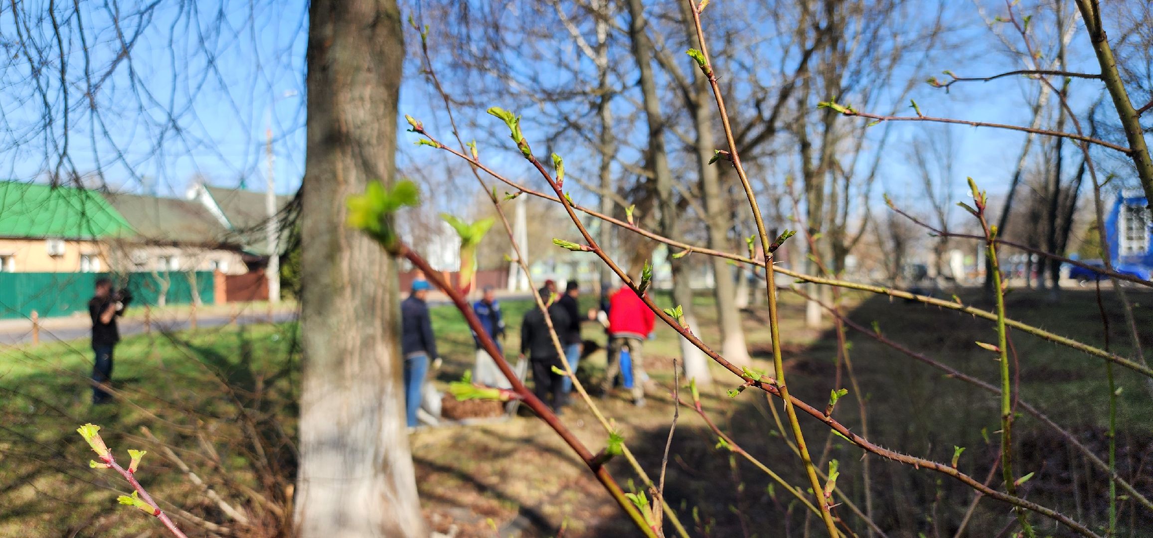 месячник благоустройства, уборка улиц, Домодедово,