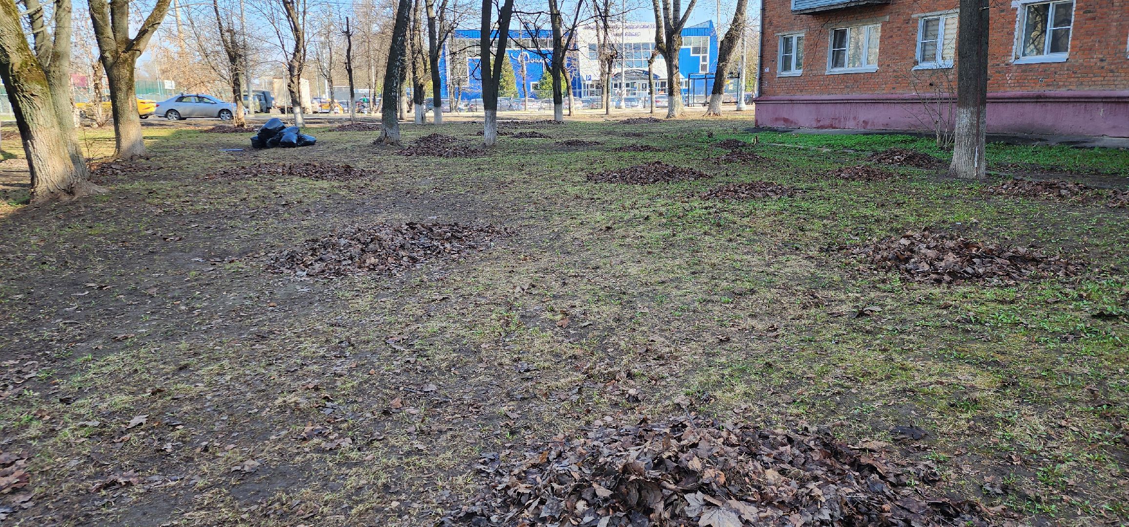 месячник благоустройства, уборка улиц, Домодедово,