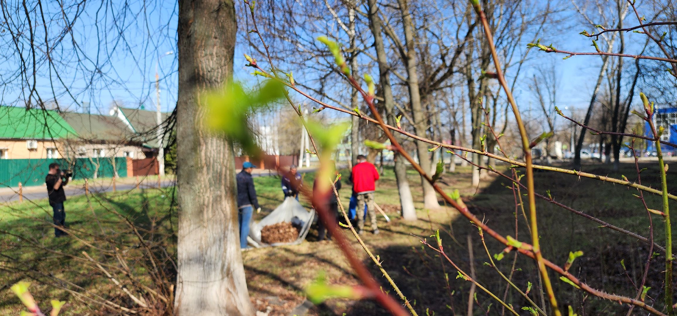 месячник благоустройства, уборка улиц, Домодедово,
