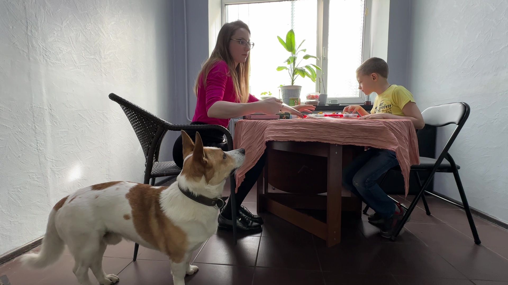 Реутов, Кузьма, пространство У Кузи, пес, собака рулит, игры, мастер-классы,