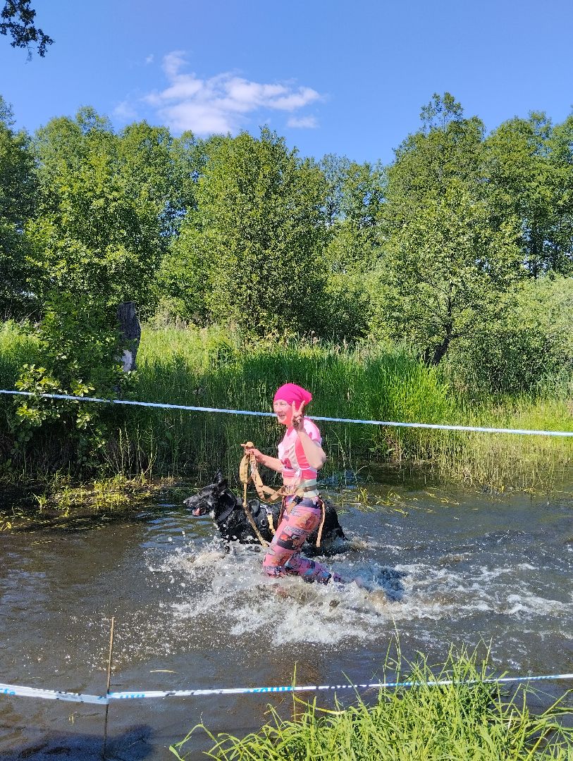 Хвостатый драйв, забег с препятствиями,спорт, Старая Купавна, Богородский городской округ,