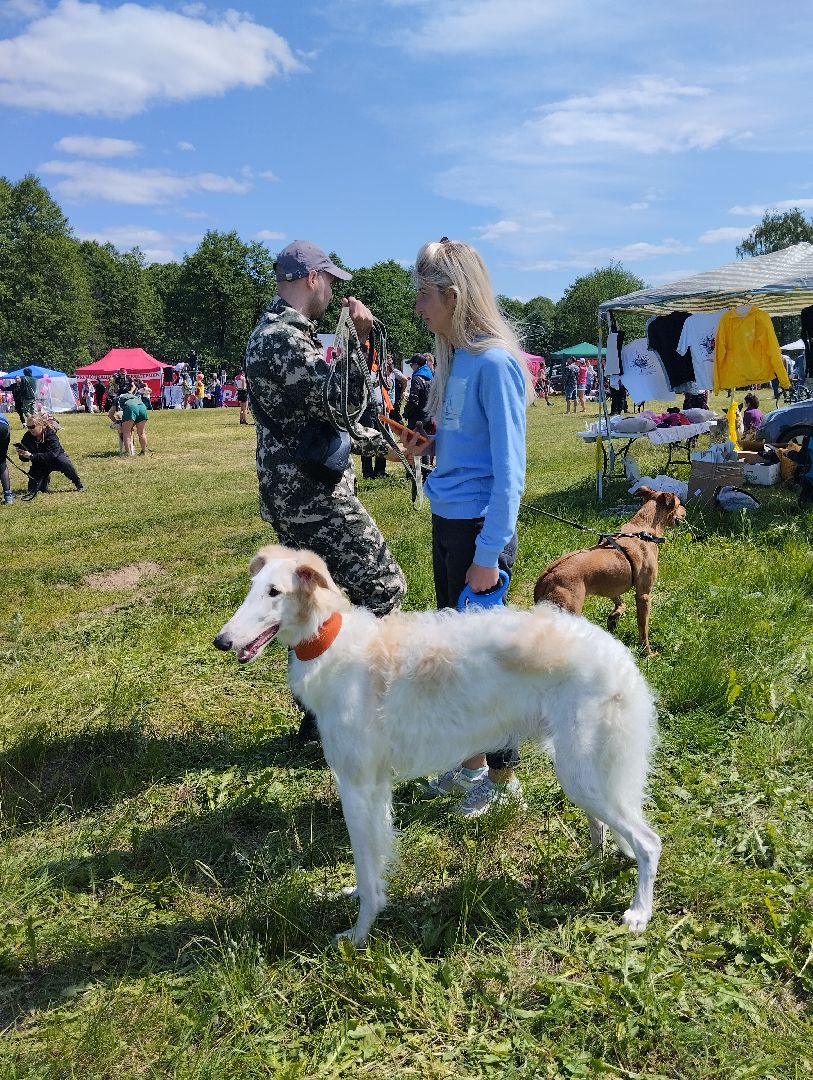 Хвостатый драйв, забег с препятствиями,спорт, Старая Купавна, Богородский городской округ,