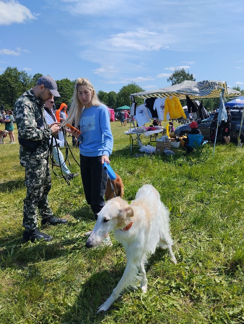 Хвостатый драйв, забег с препятствиями,спорт, Старая Купавна, Богородский городской округ,