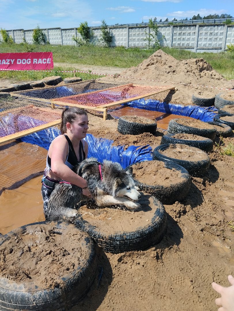 Хвостатый драйв, забег с препятствиями,спорт, Старая Купавна, Богородский городской округ,