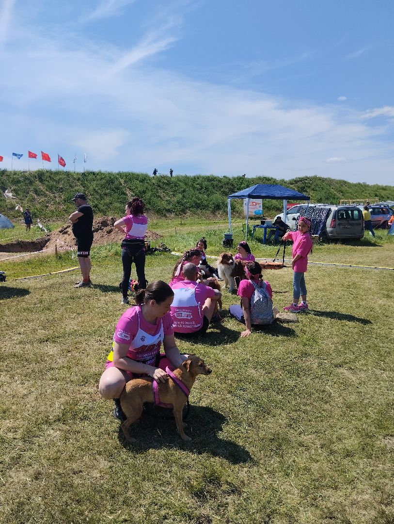 Хвостатый драйв, забег с препятствиями,спорт, Старая Купавна, Богородский городской округ,