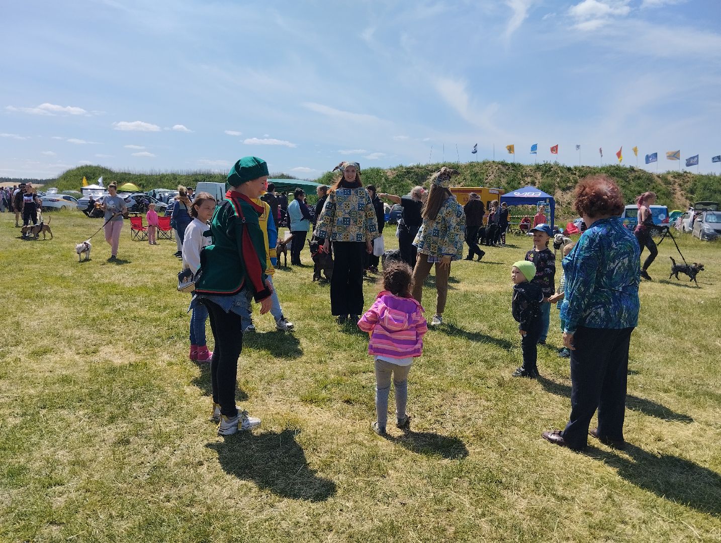 Хвостатый драйв, забег с препятствиями,спорт, Старая Купавна, Богородский городской округ,