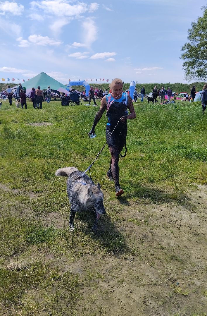 Хвостатый драйв, забег с препятствиями,спорт, Старая Купавна, Богородский городской округ,
