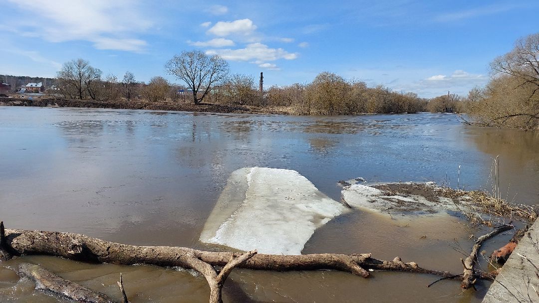 выходные в подмосковье, река, парк, перемены