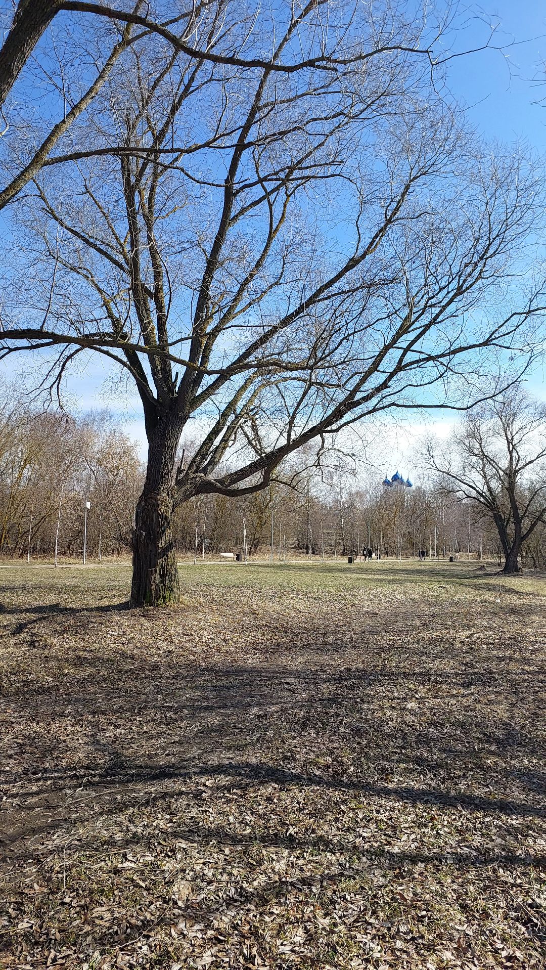 выходные в подмосковье, река, парк, перемены