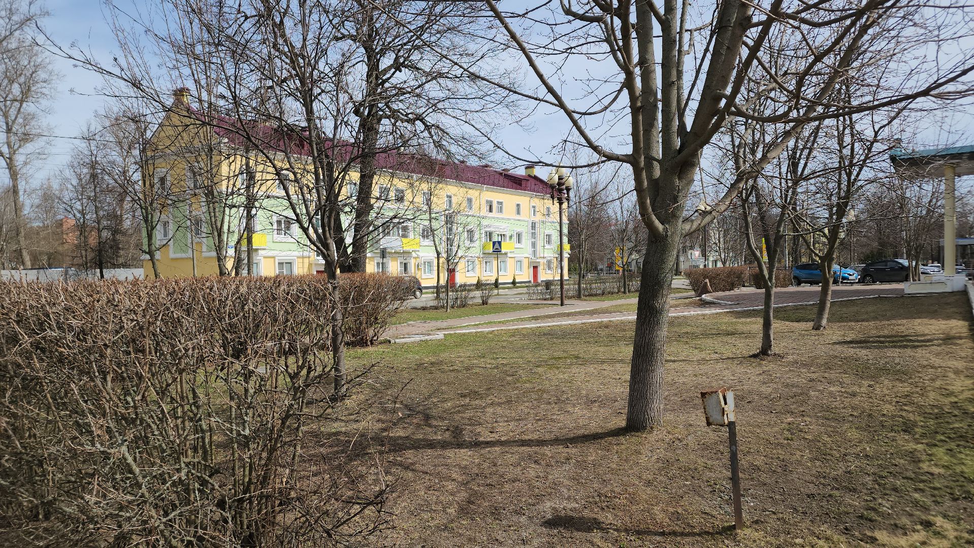 ступино, аллергия в подмосковье, сезонная аллергия, медициана подмосковья,