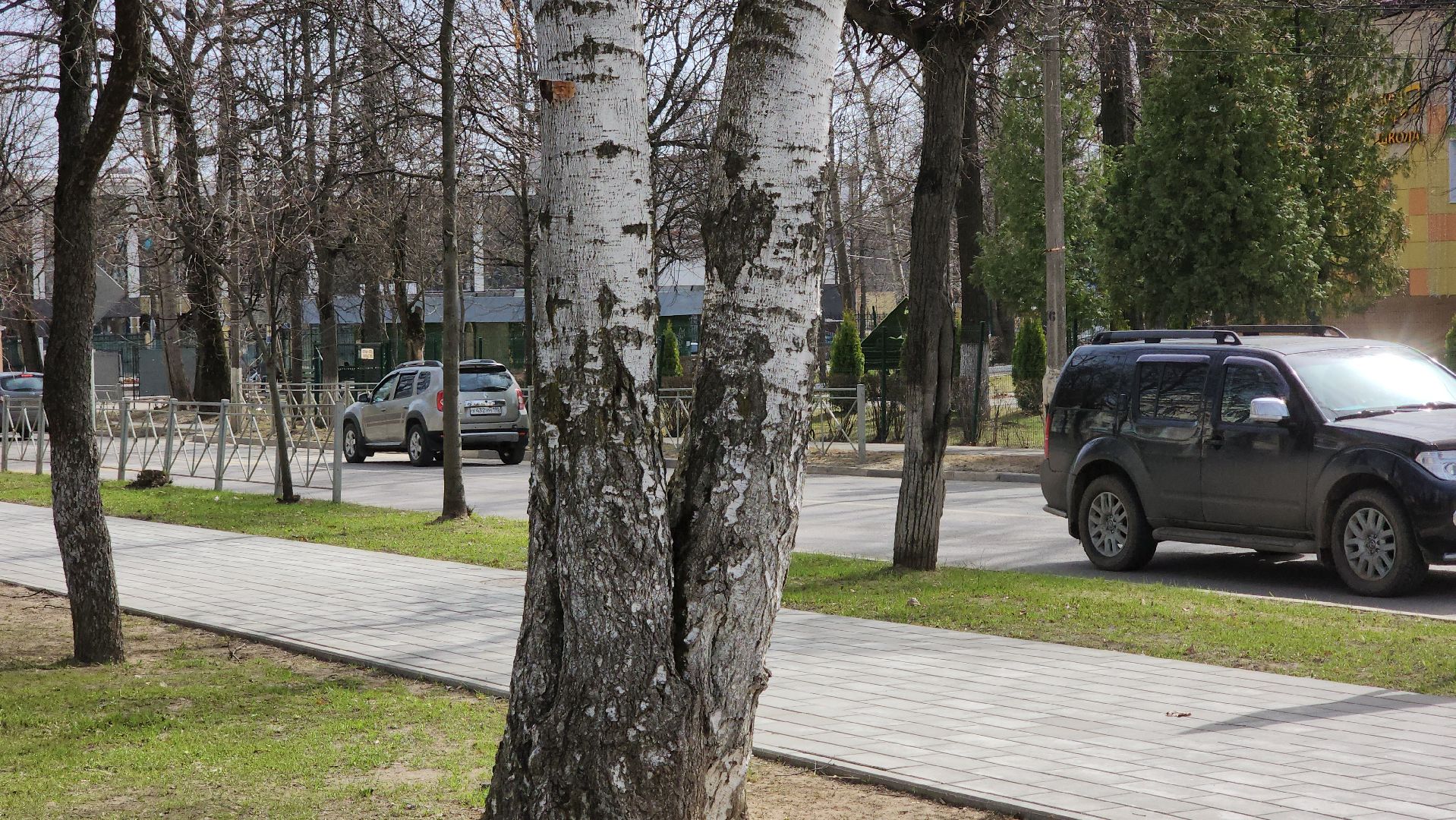 ступино, аллергия в подмосковье, сезонная аллергия, медициана подмосковья,