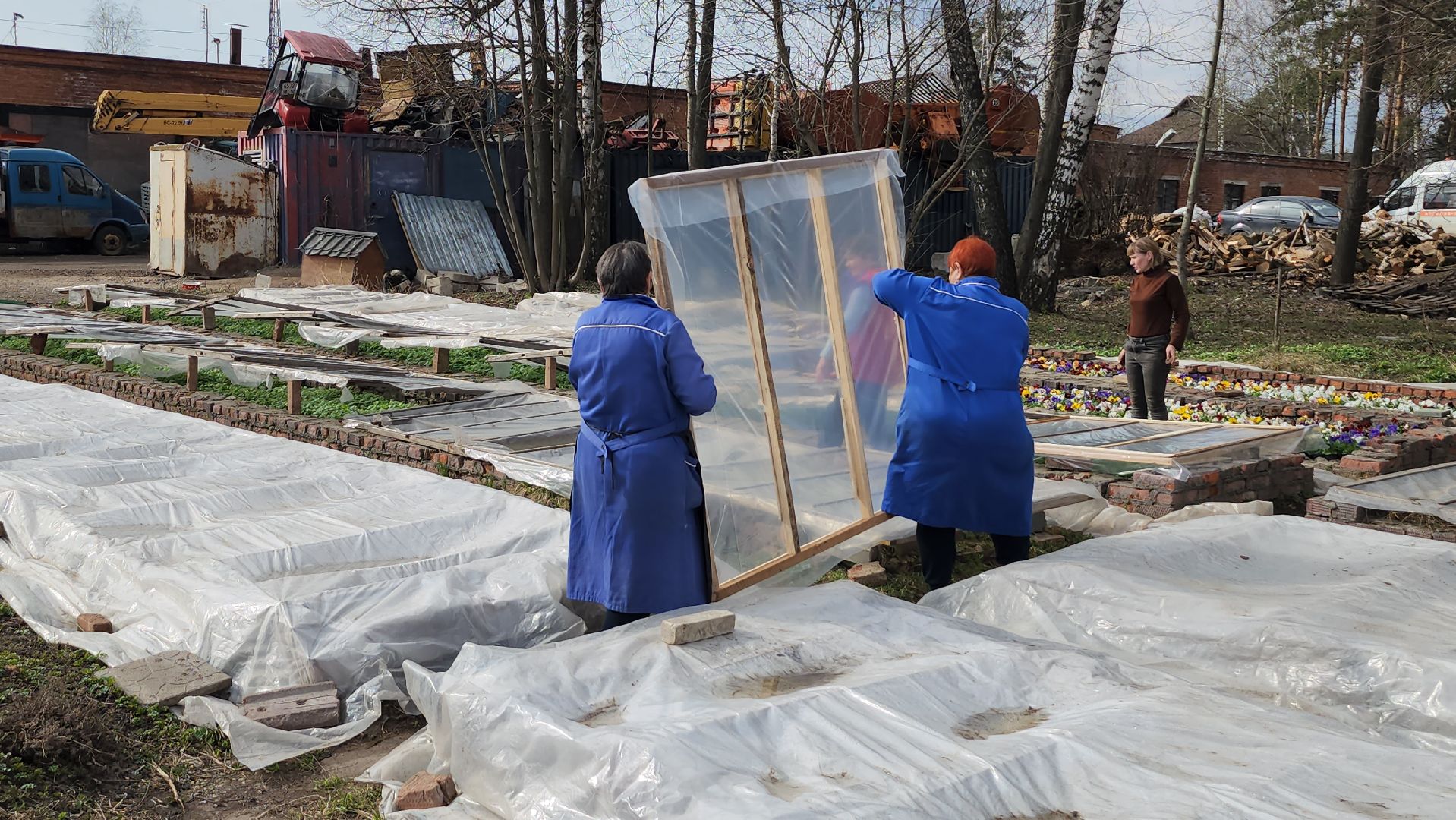 серпухов, комбинат благоустройства, теплицы, цветы, клумбы, рассада,