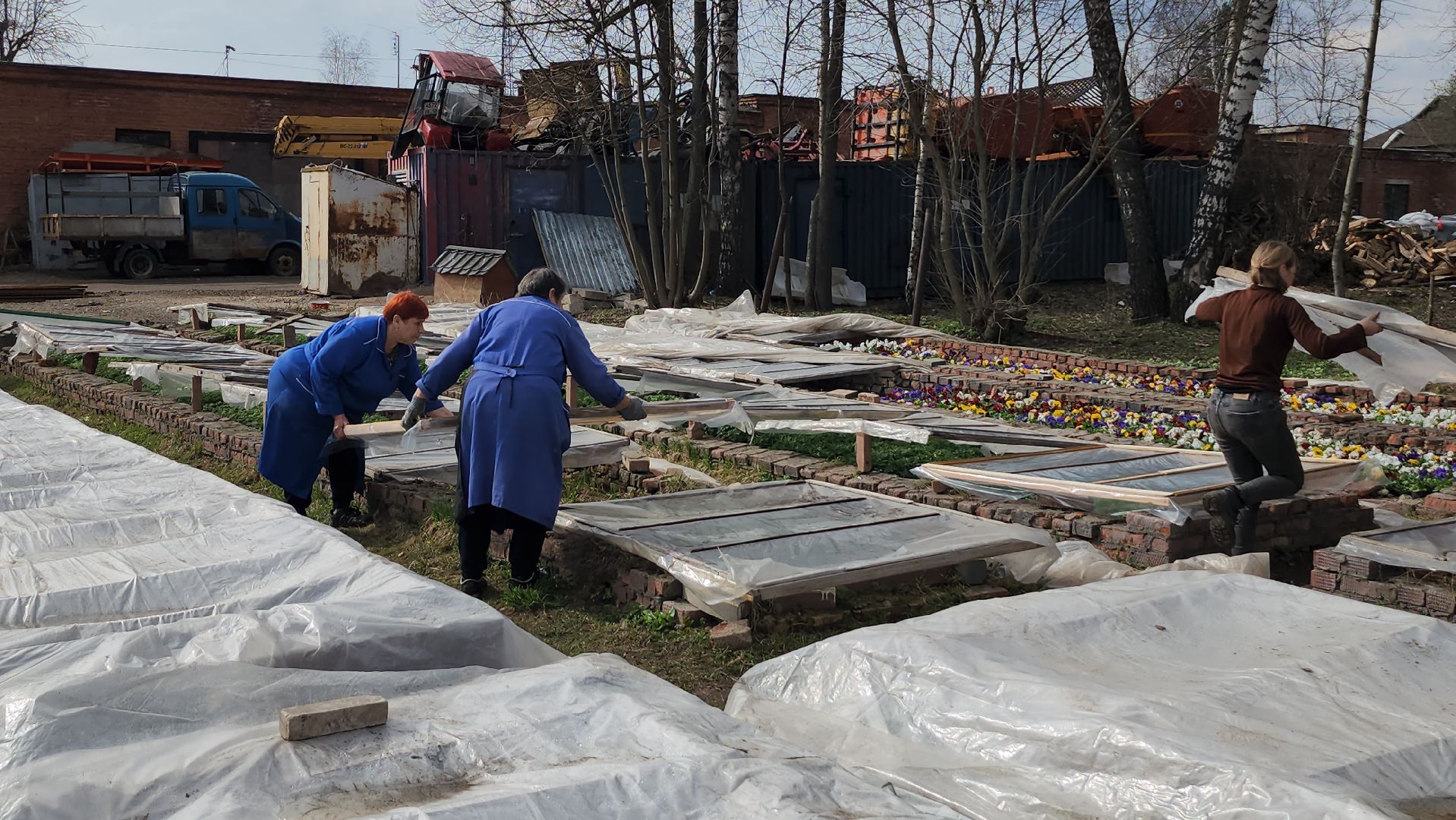 серпухов, комбинат благоустройства, теплицы, цветы, клумбы, рассада,