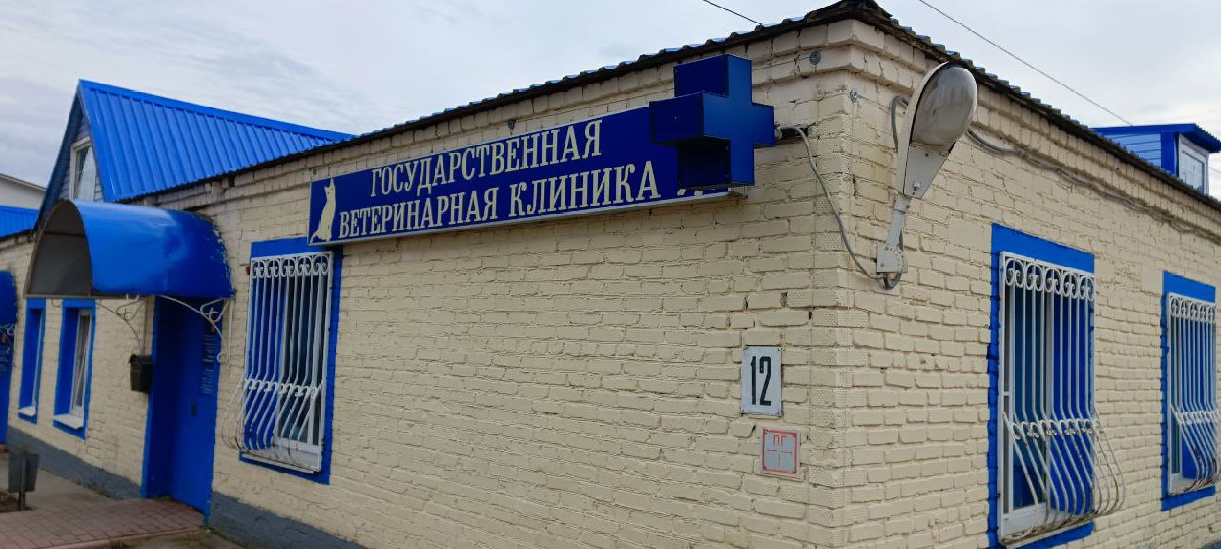 Талдом, Государственная ветстанция, Чипирование домашних животных,