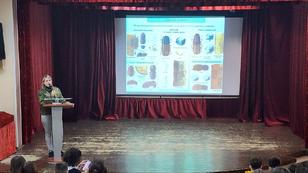 Экология, лесничество, волонтёры, конференция