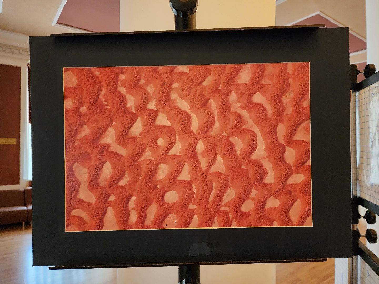 пушкино, фотовыставка, космос, день космонавтики,