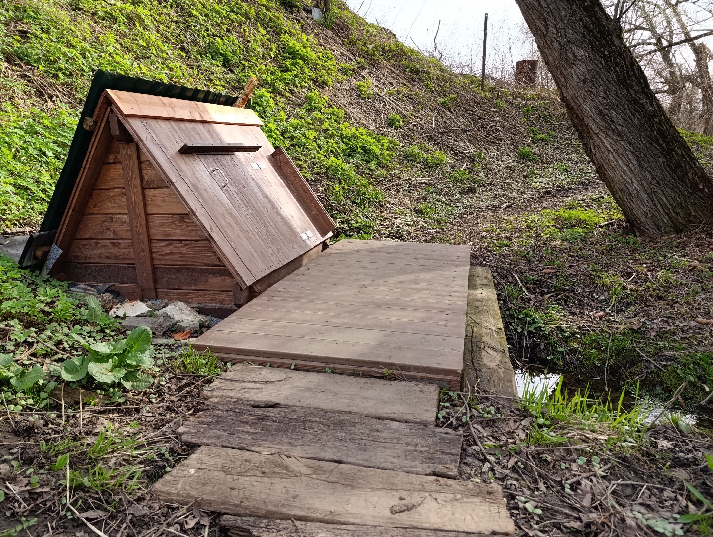 Бронницы, Выездная администрация, Благоустройство, Обращение жителей,