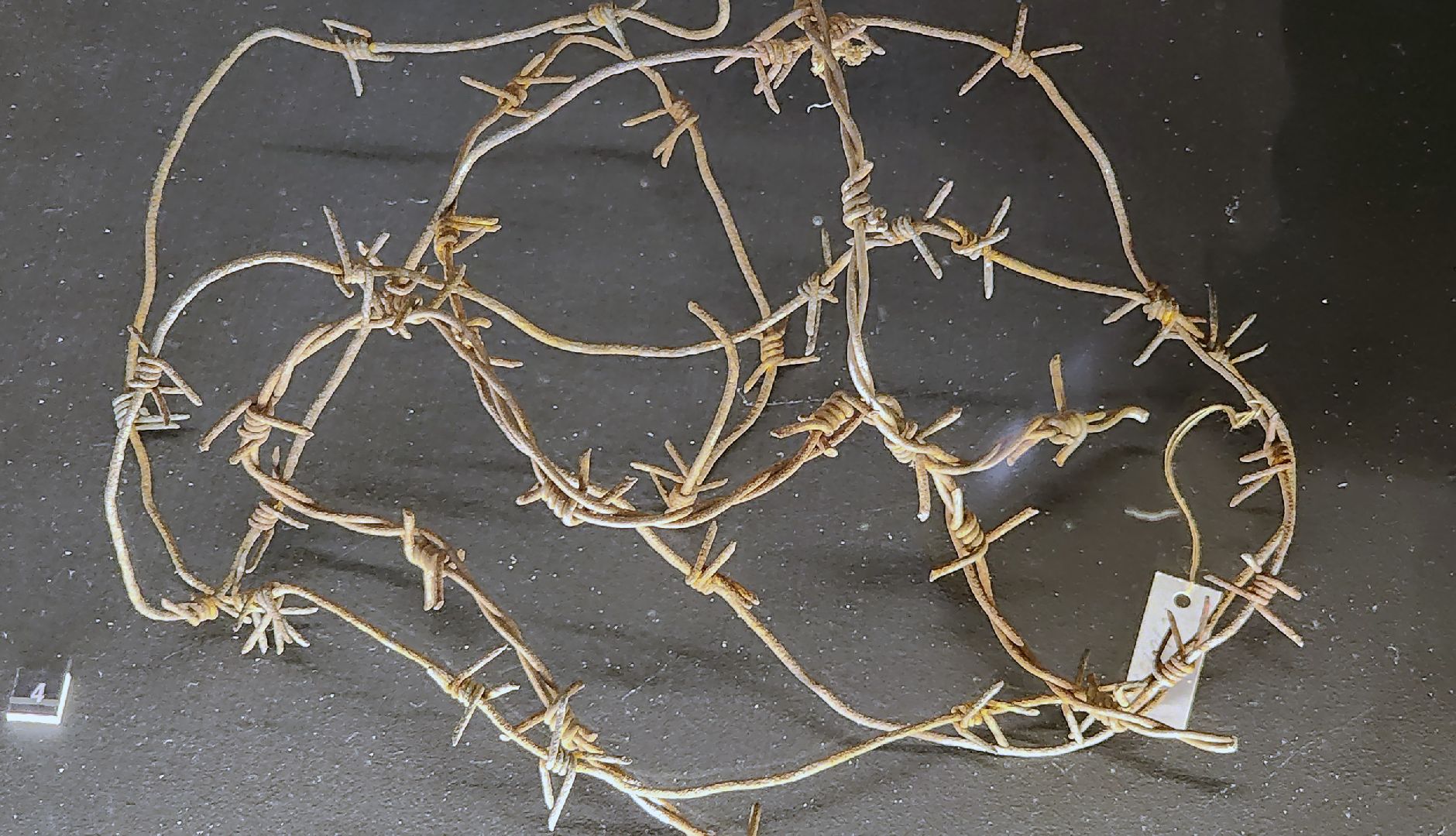 красногорск, музей антифашистов, музей победы, выставка,