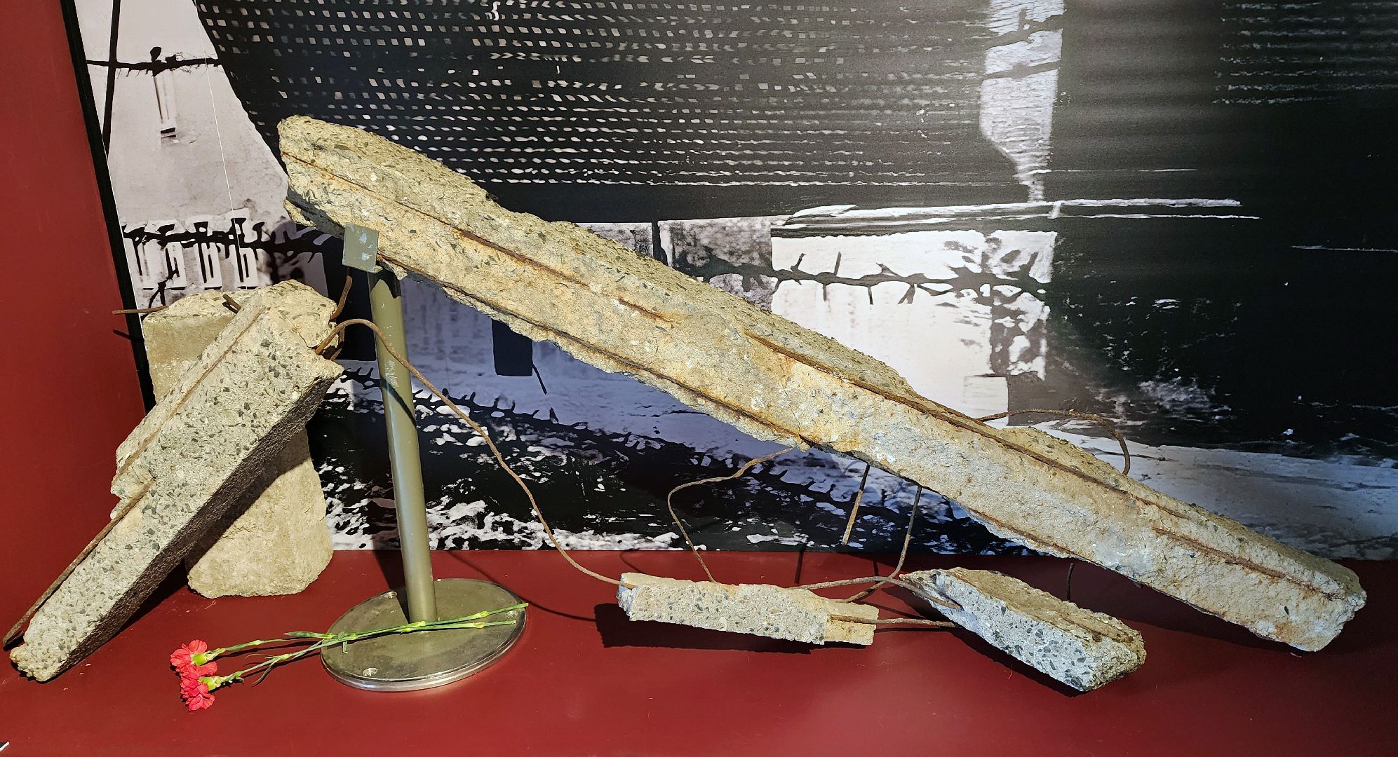 красногорск, музей антифашистов, музей победы, выставка,