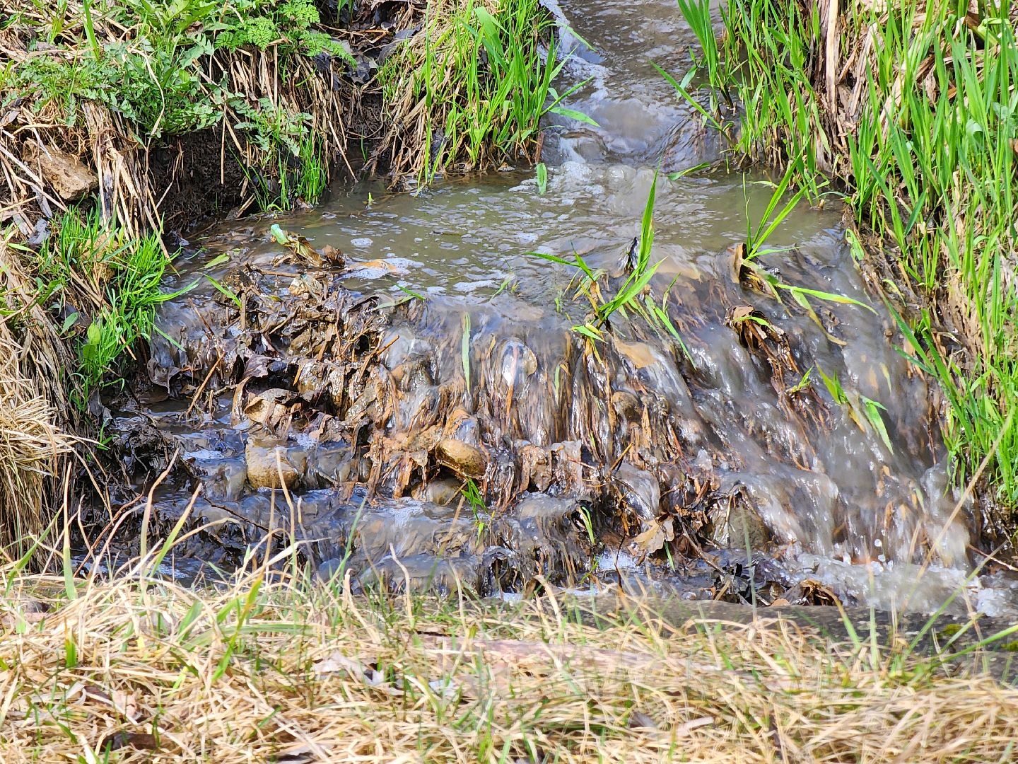 благоустройство, голосование за благоустройство,сквер, руза, нижнее лукоморье, рузский городской округ, московская область,