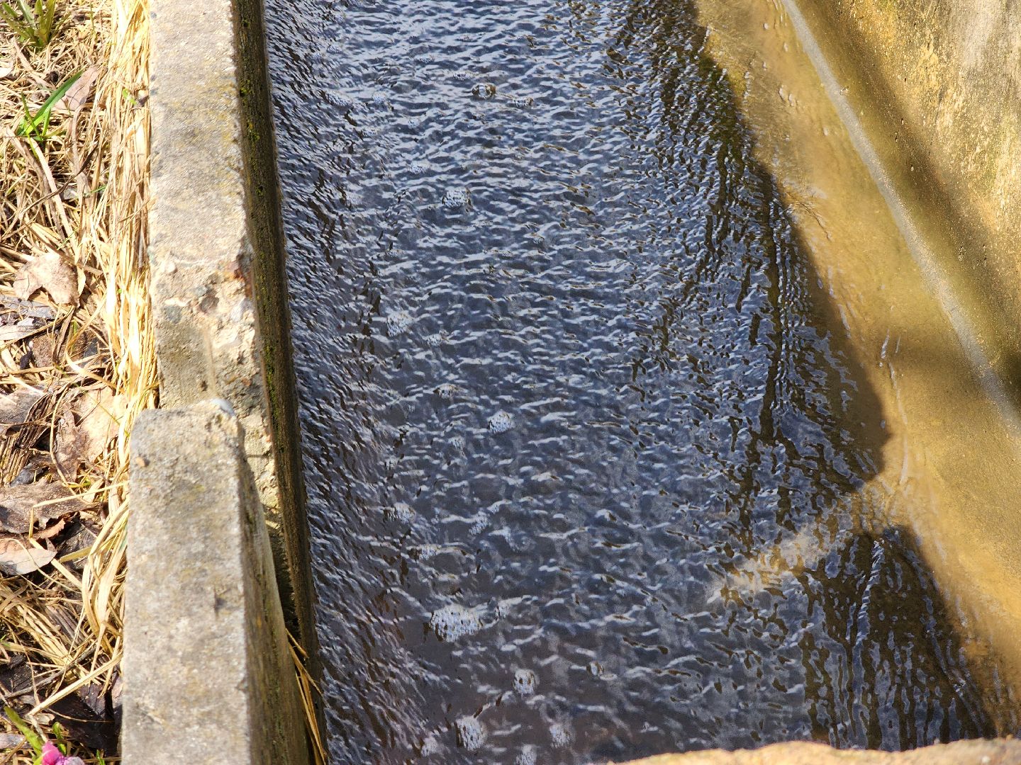 благоустройство, голосование за благоустройство,сквер, руза, нижнее лукоморье, рузский городской округ, московская область,