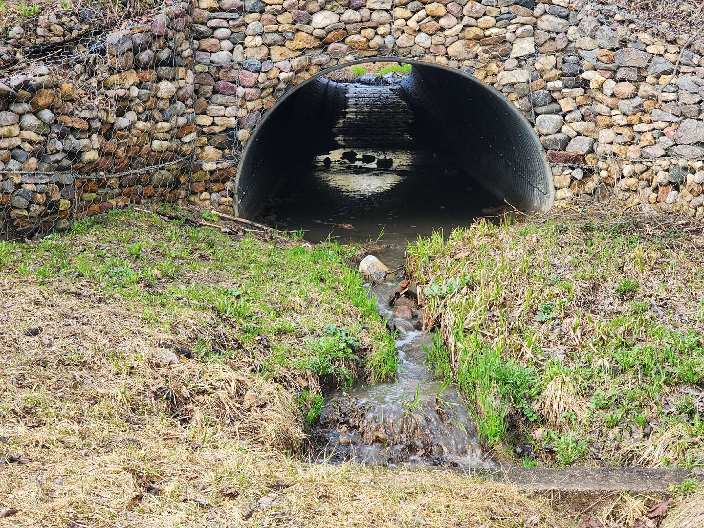 благоустройство, голосование за благоустройство,сквер, руза, нижнее лукоморье, рузский городской округ, московская область,