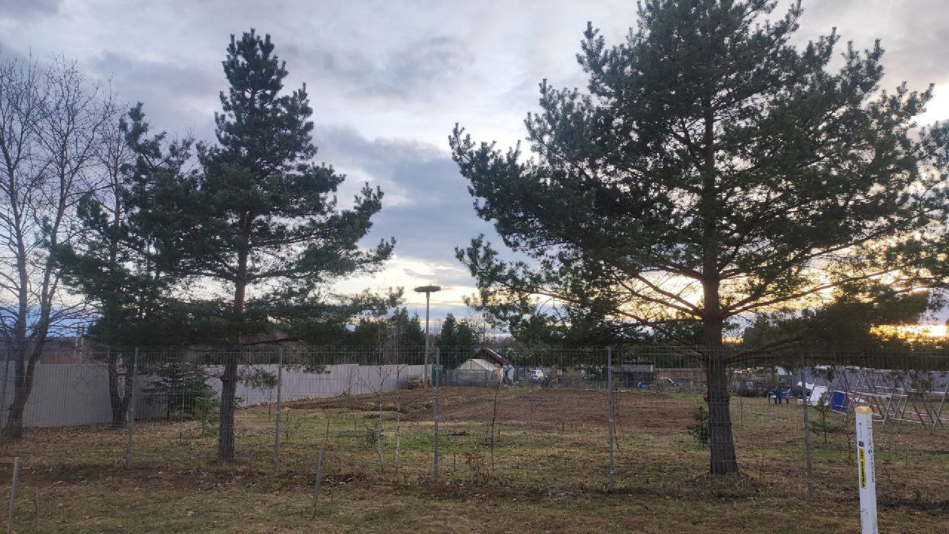 волоколамск, аисты, красная книга,