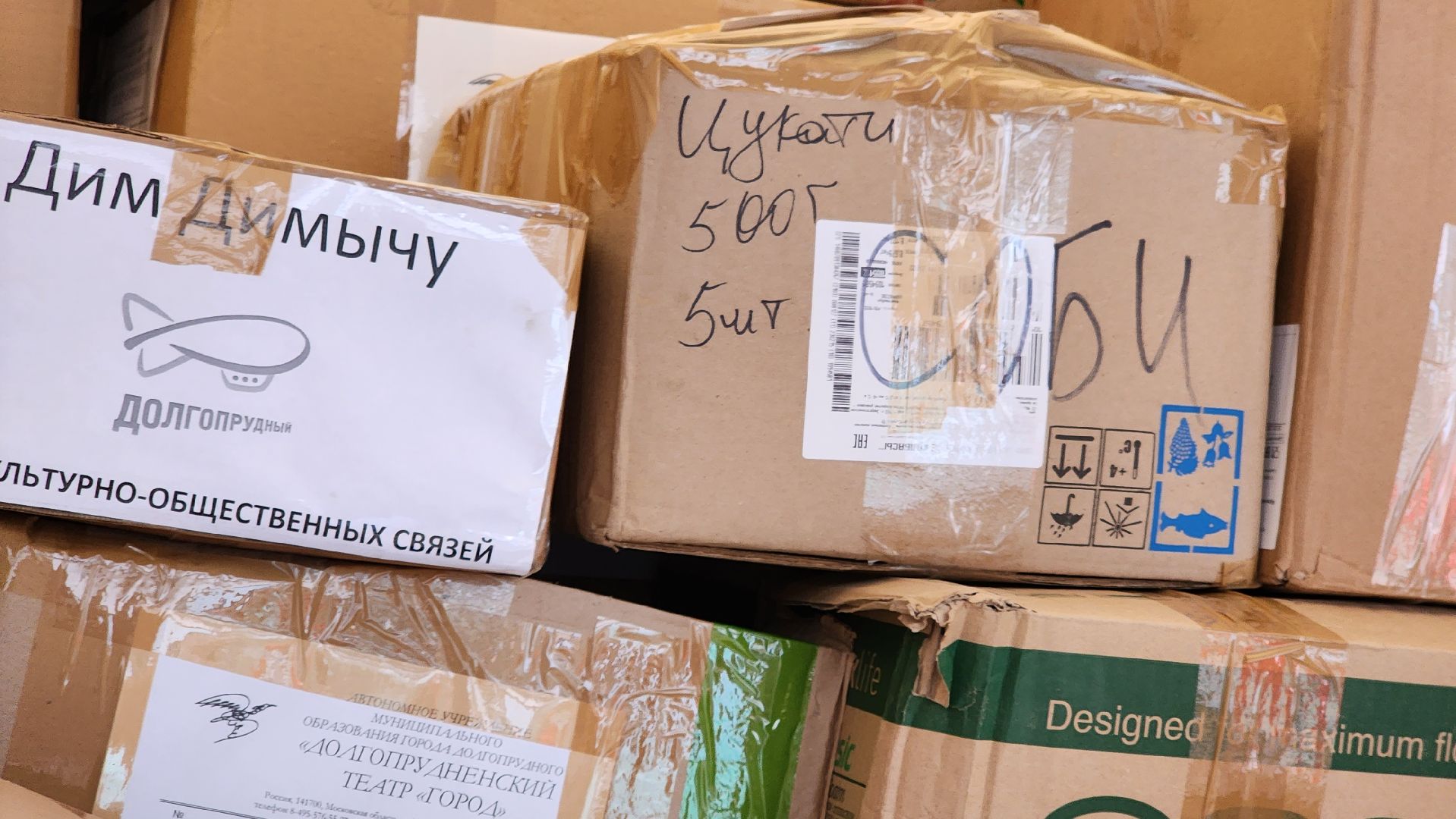долгопрудный, театр «город», гуманитарная помощь, сво, год семьи, помощь Донбассу,