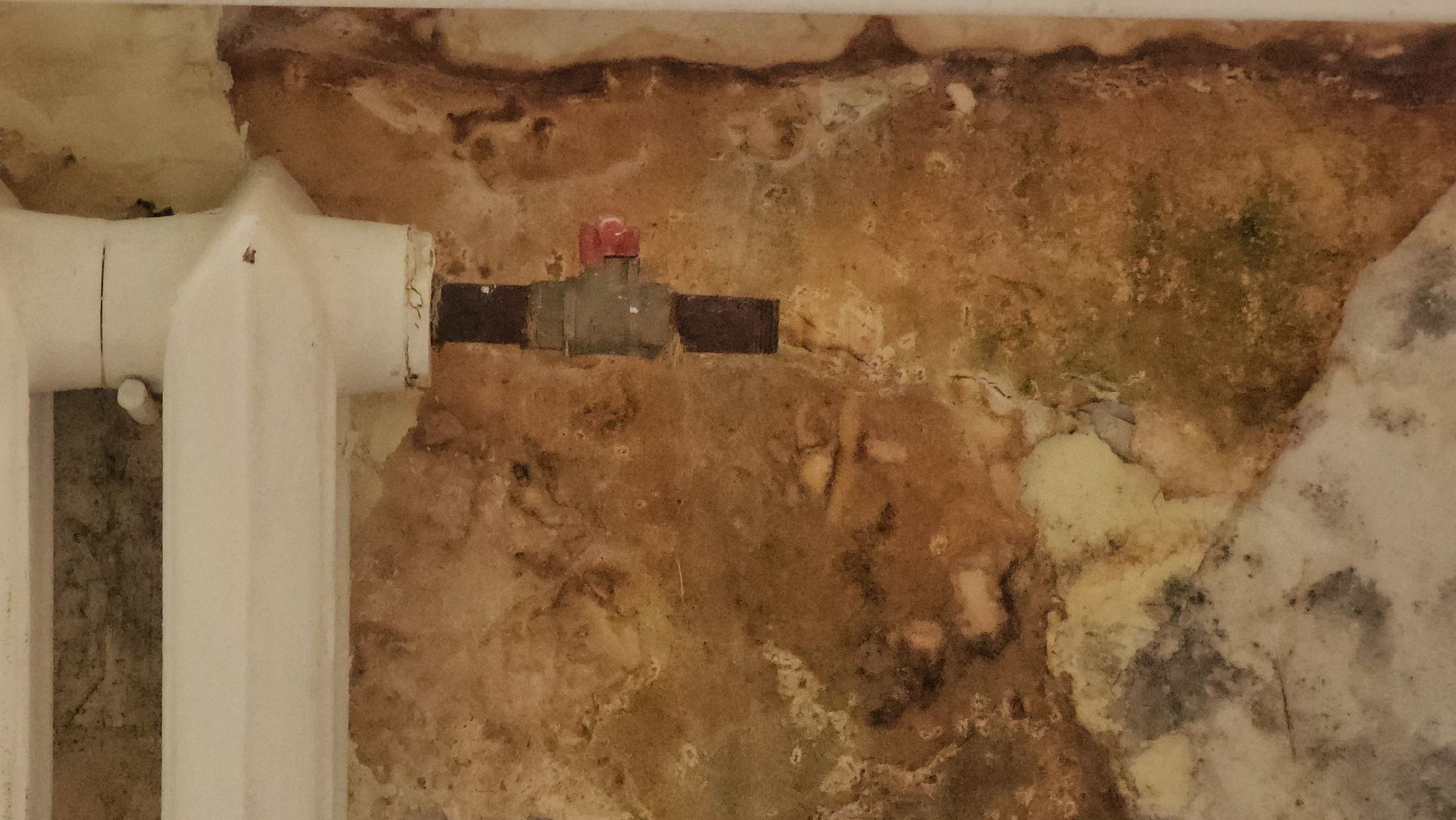 Ремонт, ремонт больницы, руза, рузская больница, рузский городской округ, министерство здравоохранения подмосковья,московская область,