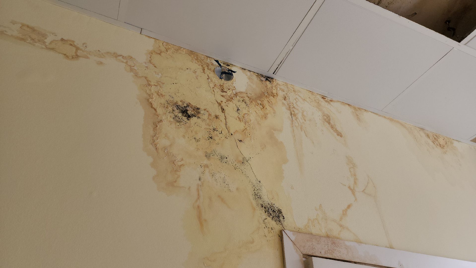 Ремонт, ремонт больницы, руза, рузская больница, рузский городской округ, министерство здравоохранения подмосковья,московская область,