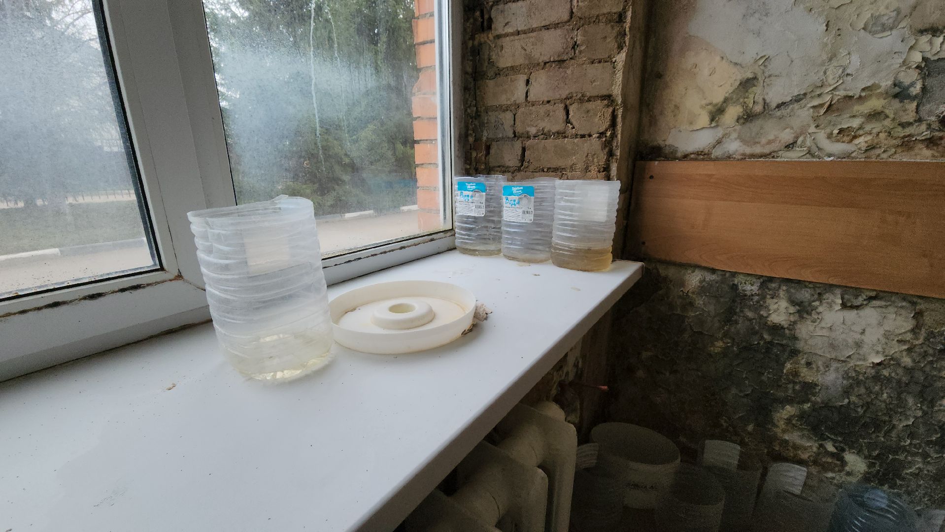 Ремонт, ремонт больницы, руза, рузская больница, рузский городской округ, министерство здравоохранения подмосковья,московская область,