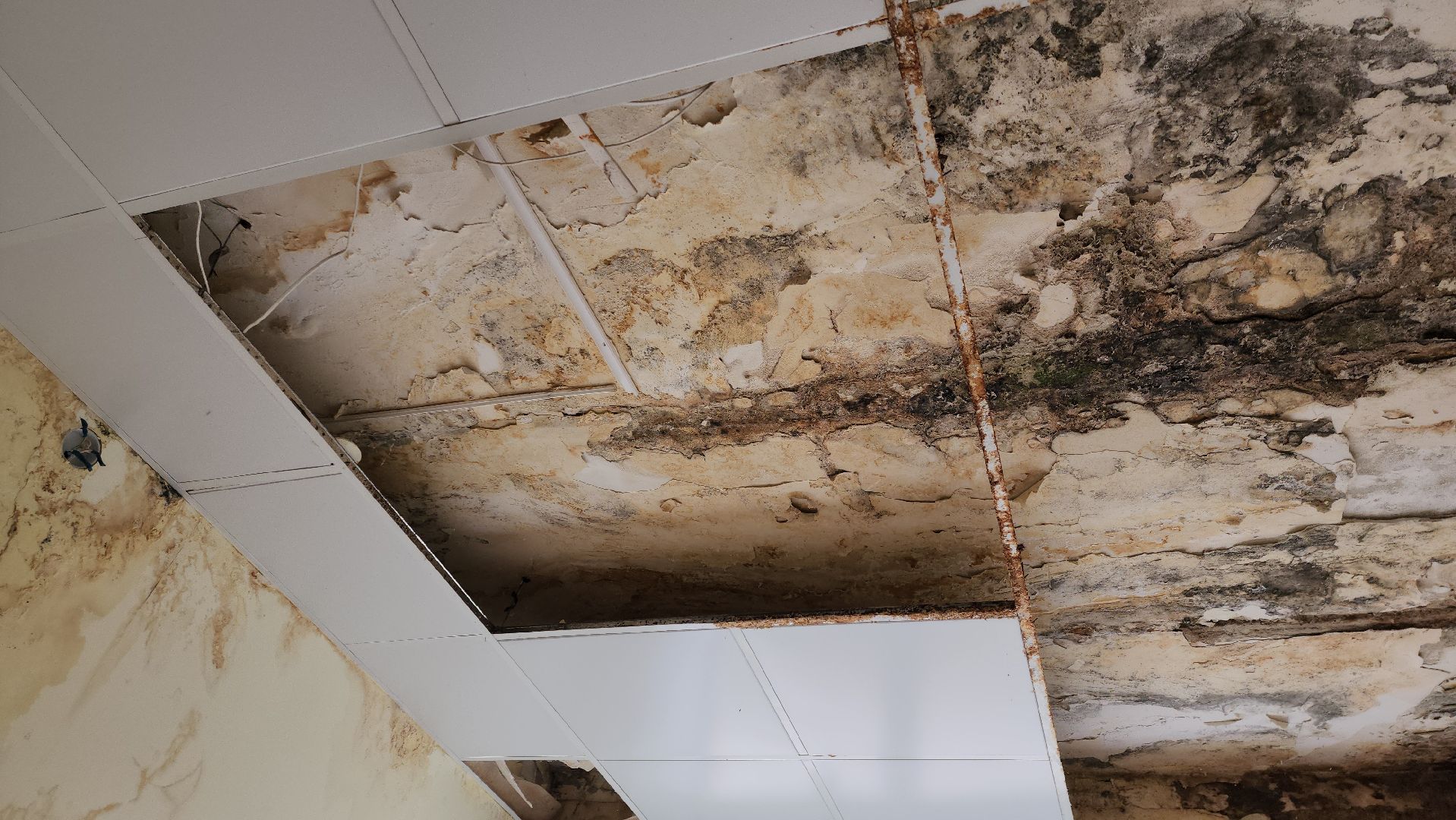 Ремонт, ремонт больницы, руза, рузская больница, рузский городской округ, министерство здравоохранения подмосковья,московская область,